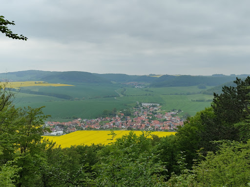 Martinfelder Fenster - Visual