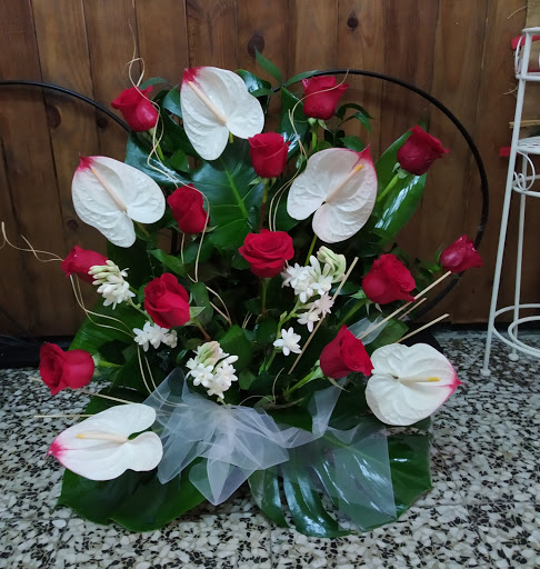 +qflor - Visual