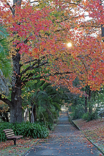 Honour Gardens - Thumbnail