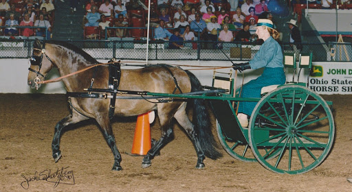 Coopermill Harness - Visual