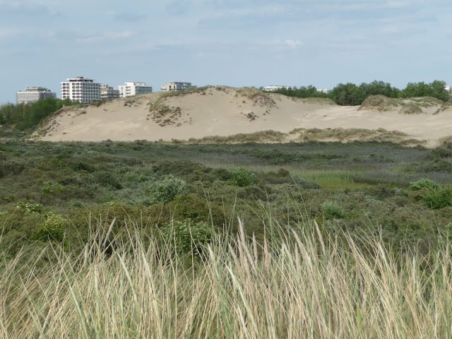 Réserve Naturelle du Westhoek