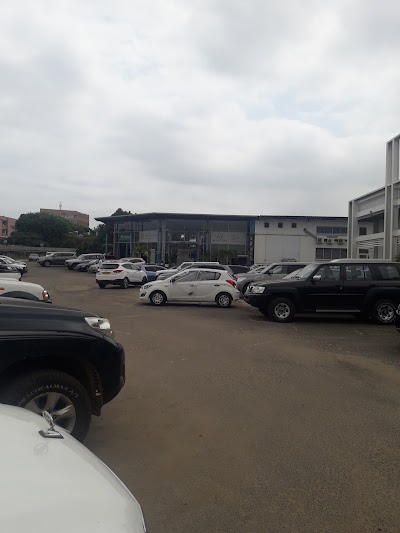 car-dealer