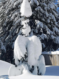 Photo n°39 de Le Panoramic à VAL THORENS (Brasserie)