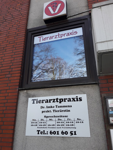 Tierarztpraxis Dr. Imke Tammena - Thumbnail