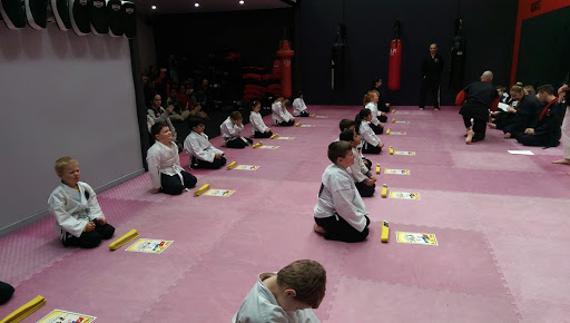 All Active Martial Arts - Thumbnail