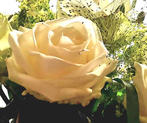 Blumenhaus Sonja Seidel - Visual