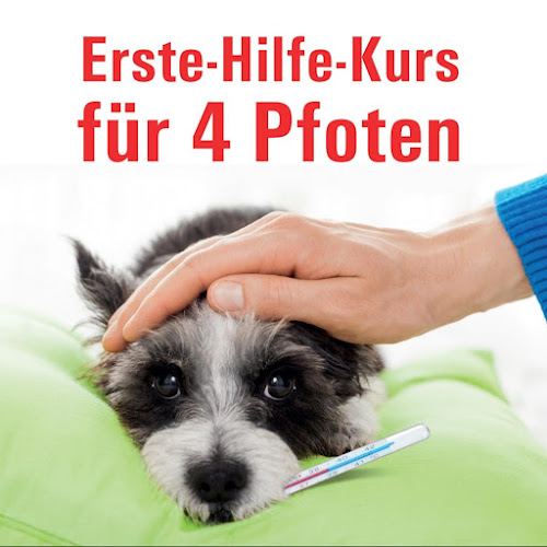 Tierheilpraktikerin Daniela Gehrmann