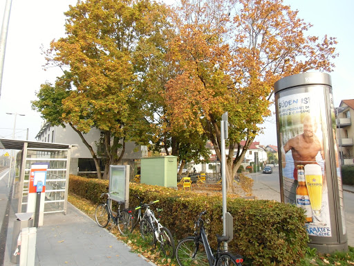 Markelfingen - Thumbnail