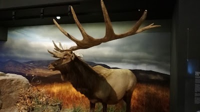 Photos of Ice Age Centre