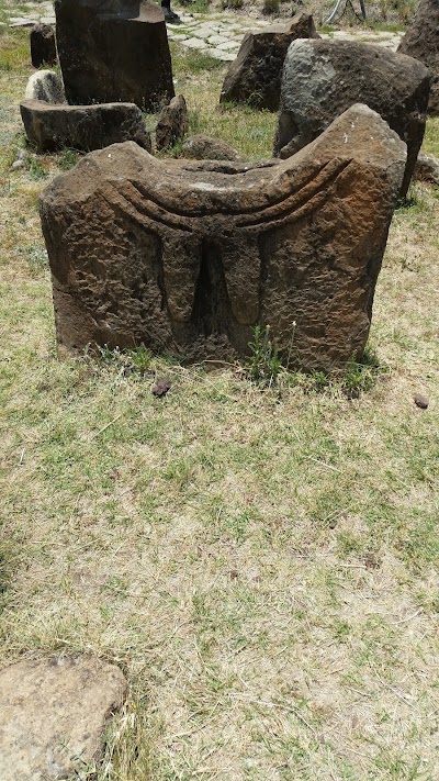Photos of Tiya World Heritage Site