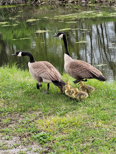 Ohio & Erie Canal Towpath Trail - Thumbnail