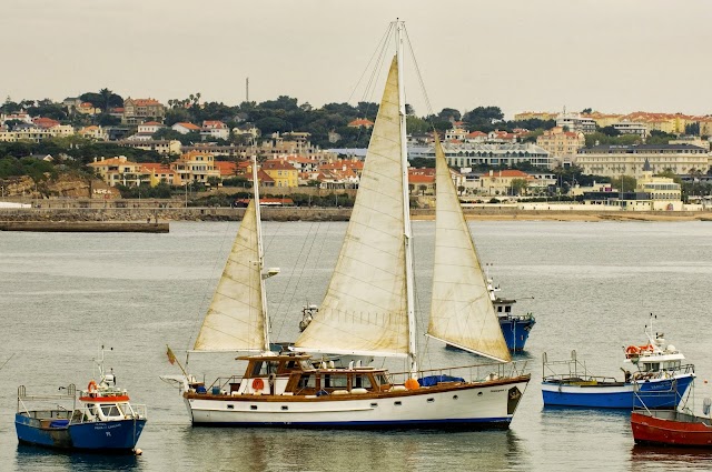 Halcyon I - Boat Tours Lisbon