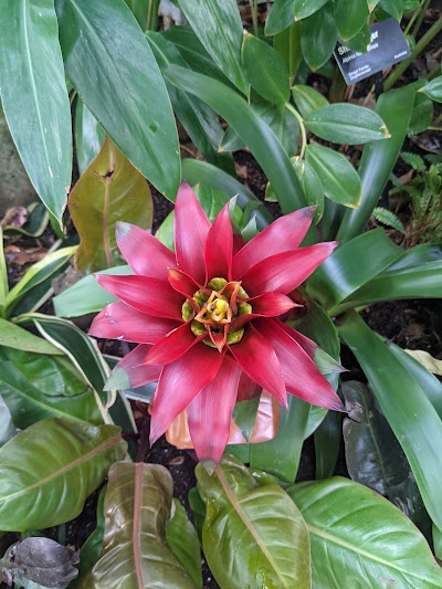 Crystal Bridge Tropical Conservatory