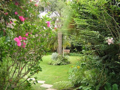 Photos of Cosy-Corner Guest House
