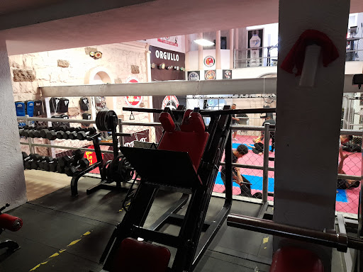 camelot gym - Thumbnail