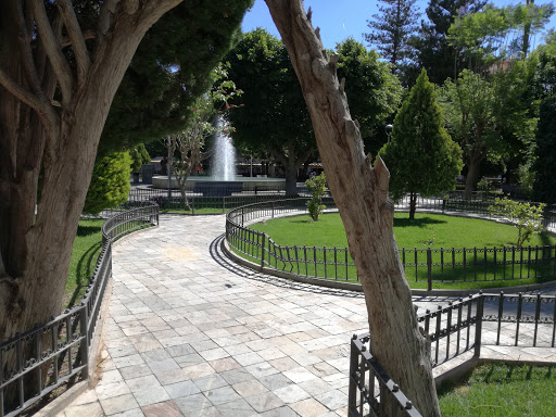 Jardín Glorieta - Thumbnail