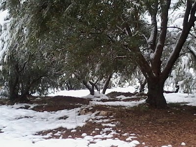 Photos of GITE ELHACHIMI