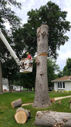 K & M Tree Service