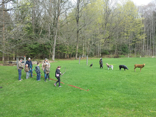 Springville Field & Stream Gallery - United States