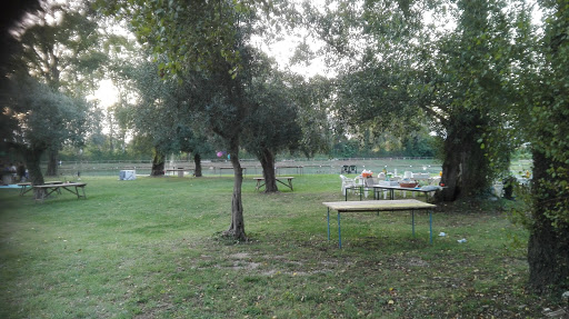 Area Picnic con Lago Pesca Sportiva "Lago Verde" Venafro - Thumbnail