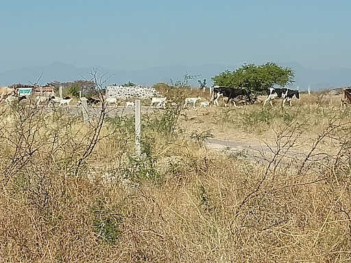 Mixtlalcingo - Visual