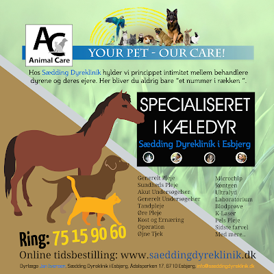 Photos of Saedding Animal Clinic - Veterinarians in Esbjerg / Jan Iversen