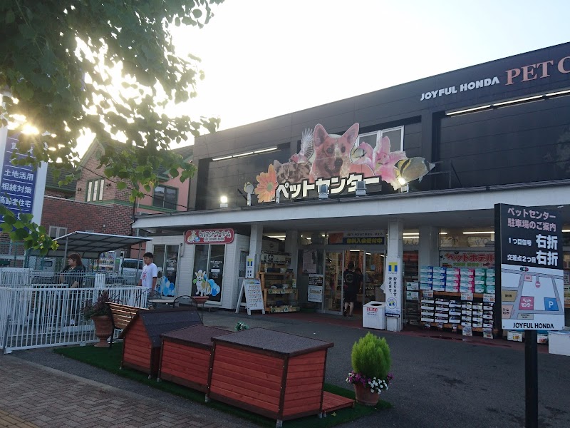 主権者 バブル リングバック ジョイフル 本田 君津 自転車 Event Tent Net