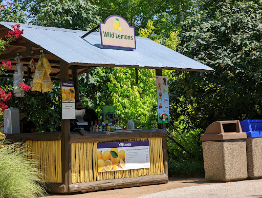 Wild Lemons - Visual