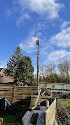 Photo n°15 de Passion Dubois - Elagage, Abattage d'arbres - Taille des haies et d'arbustes - Douai, Arras, Cambrai, Orchies à Férin (Service d'élagage)