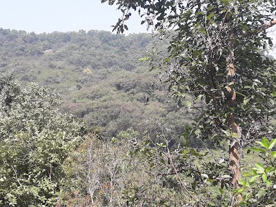 Photos of Roti kade - hunnasgiriya