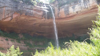 Photos of Jardin de las delicias