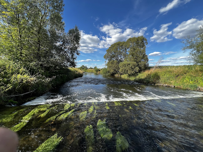 Przystań Buryłówka- Splywy Kajakowe / Kajaki Kwisą /Camping - Bolesławiec