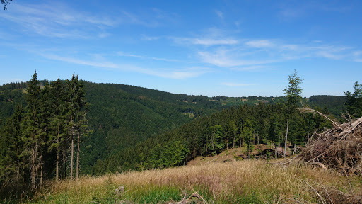Windsberg - Visual