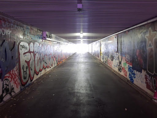 Petersham - Thumbnail