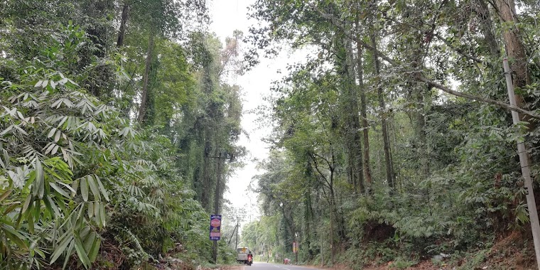 Hora Forest Reservation, Author: Buddhika Samith