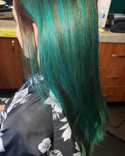 Chic Roots - Visual