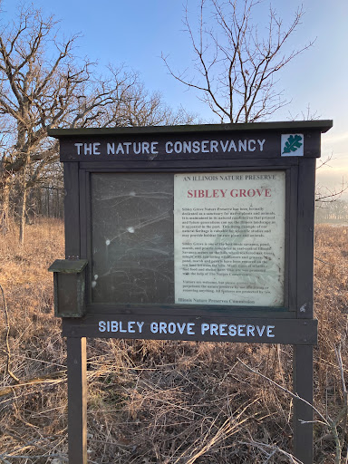 Sibley Grove - Thumbnail