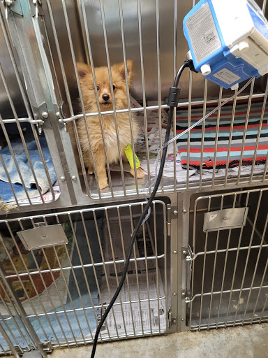 Corbin Animal Clinic - Thumbnail