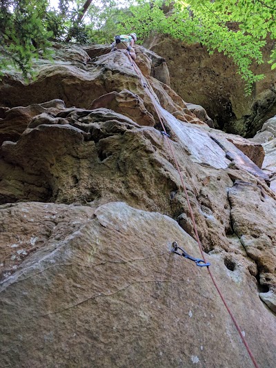 Photos of Muir Valley Nature Preserve and Climbing Arena