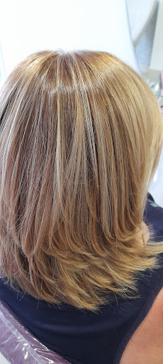 HAIREVOLUTION - Visual