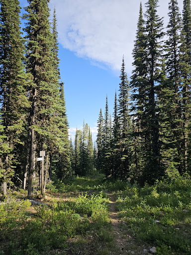 Silver Star Provincial Park Parking - Thumbnail