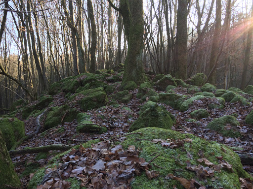 Steinkammer - Visual