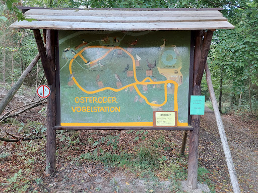 Osteroder Vogelstation - Visual