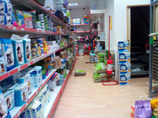 Il Market Di Bau Bau Settete Di Mazzetti Stefano - Thumbnail