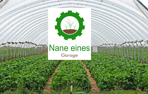 Nane eines - Visual