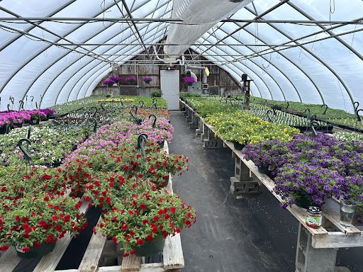 BCC Botanicals, LLC