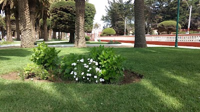 Photos of Parque Ross