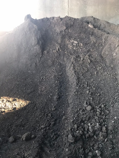 Carolina Mulch-Spindale - Thumbnail