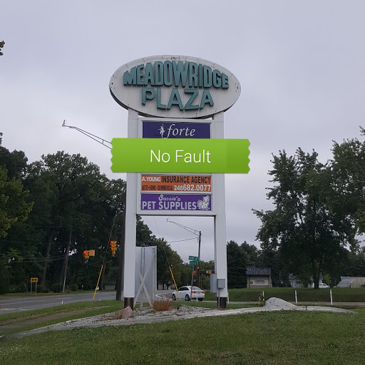 No Fault Insurance Agency - Thumbnail