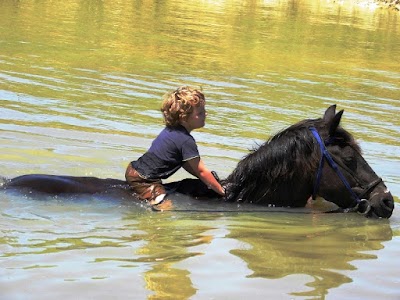 Photos of Garden Route Horse Trails
